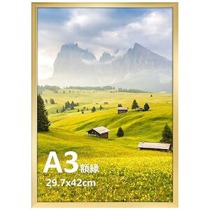 GIFT GARDEN �z�� �t�H�g�t���[�� A3 �܏�z �y�� �T�C�Y �Ǌ|�� �^�C�v ���F ���i �|�X�^�[ ����