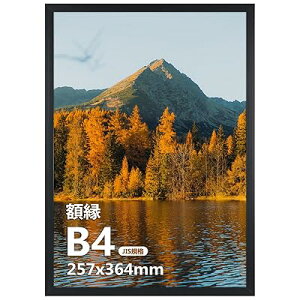 B4 �z�� �t�@�C�� �t�H�g�t���[�� �y�� 364x257mm �Ǌ|�� ���Ή� �W���G�� �|�X�^�[ �u���b�N 1