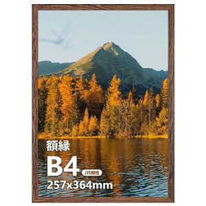 B4 �z�� �t�@�C�� �t�H�g �t���[�� �y�� 364x257mm �Ǌ|�� ���Ή� �W���G�� �|�X�^�[ �R�[�q�[