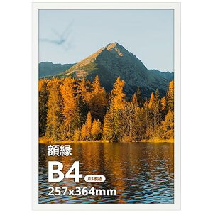 B4 �z�� �t�@�C�� �t�H�g �t���[�� �y�� 257x367mm �Ǌ|�� ���Ή� �W���G�� �|�X�^�[ �z���C�g