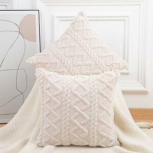 �N�b�V�����J�o�[ 2���Z�b�g 55×55cm �O���[�x�[�W�� �k�� �_�炩�� �Z���E�[�� �t���[�X �w��