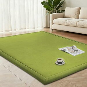 �Ɍ�3.5cm �ᔽ�����O�}�b�g ���� 35mm �J�[�y�b�g �h�� ���ׂ�~�� �X���O�~ �������H ���n �O