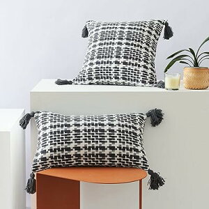 �N�b�V�����J�o�[ 45cm x 45cm 2���Z�b�g ��D�� �^�b�Z���t�� �A���e�B�[�N �V�m���Y�� �ΐ� �i