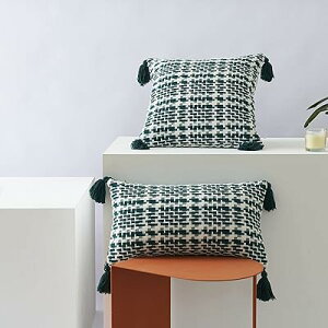 �N�b�V�����J�o�[ 45cm x 45cm 2���Z�b�g ��D�� �^�b�Z���t�� �A���e�B�[�N �V�m���Y�� �ΐ� �i