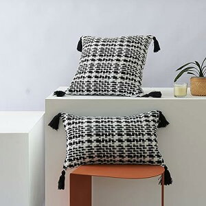 �N�b�V�����J�o�[ 45cm x 45cm 2���Z�b�g ��D�� �^�b�Z���t�� �A���e�B�[�N �V�m���Y�� �ΐ� �i