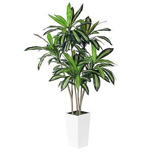 �t�F�C�N�O���[�� �h���Z�i 167cm ��^ ���G�} �ϗt�A�� ���� ���t�� ������� �����C���e���A