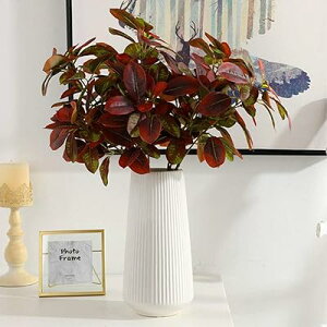 t[x[X Ԋ ԕr   k_VvfUC (, )