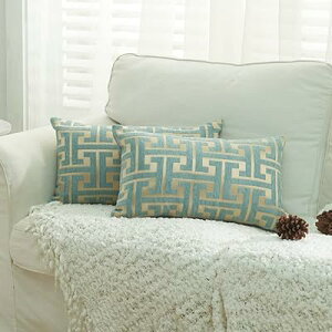 NbVJo[ VFj[n 􉽊w͗l   _炩k  sP[X