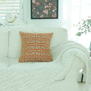 NbVJo[ VFj[n 􉽊w͗l   _炩k  sP[X