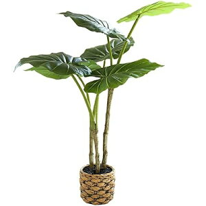 lHϗtA Mъϗt l G} tFCNO[ tFCN^TCY 65CM ȒP