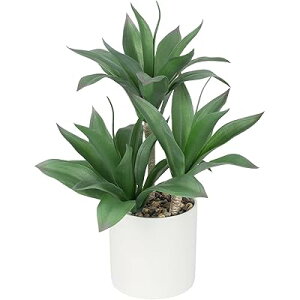 tFCNO[ CeAO[ lH ϗtA tFCNhZi CeA Vzj