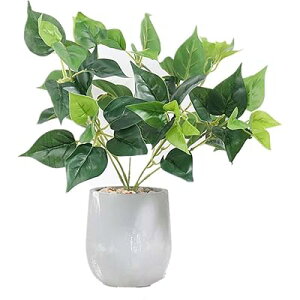 lHϗtA XeA15cm×s15cm×38cmAtFCNO[AG}dlA픫