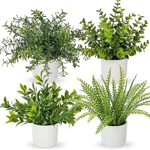 CeA O[ tFCNO[ lH ϗtA tFCN  A  e[u