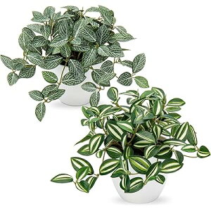 tFCNO[ CeA O[ yy~A lHϗtA  A  GAv