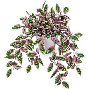 tFCNO[ CeA O[ lHϗtA  A  GAvc Vzj