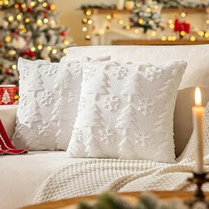 NbVJo[ 40 40 2Zbg _炩 tFCNE[ I Jo[ NX}X N