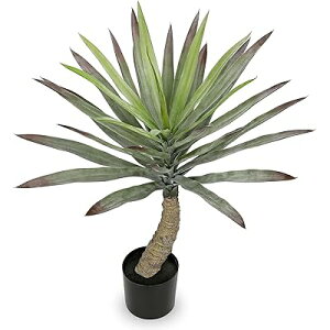 tFCNO[ CeAO[ lHϗtA ^ 70CM AKx ₷ 