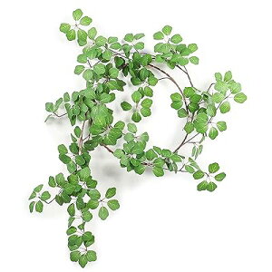 tFCNO[ ݂艺 ϗtA  175cm Ǌ| CeAO[ GKg y