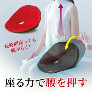 {[hNbV cosios RVIXyNbV CX ֎q ItBX ɑ΍  ΍  S y Lw w p  ֎qpNbVz