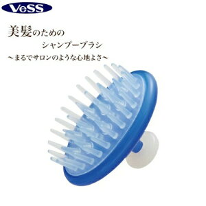 VESS xX JS-500 Vv[uV 500~|bL }bT[W  n