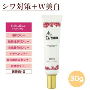 GNXzCg pWNN[ 2000~|bL