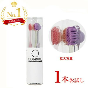 COBRUSH RuV euVyF͑Iׂ܂z