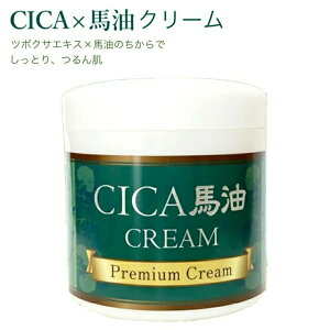 CICA nN[ 230g VJN[ c{NTGLX nN[ XLPA ێN[ tFCXN[ R[Q