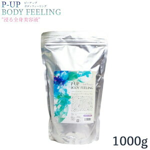 P-UP {fBtB[O  1000g s[Abv v[g  Mtg  lC Sg et