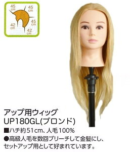 �A�b�v�p�E�B�b�O UP180GL �u�����h �l��100�� �A�b�v �J���[ �p�[�} ��b���K �J�b�g ���e�p�i �T�����ꔄ�i �J�b�g ���K ���K�p �E�B�b�O