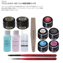 楽天市場】ネイル 検定 3 級 道具 セットの通販