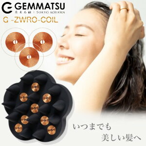 Vv[uV G-ZERO RC }CNJg v (W[[ COIL MICROCURRENT PRO d c }bT[W)