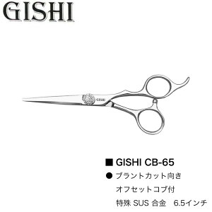 GISHI �V�U�[ CB-65 (�Z�t �J�b�g �V�U�[ �Z�j���O �w�A�J�b�g �U�� ���e�t ���e�t �v���p �ꔄ)