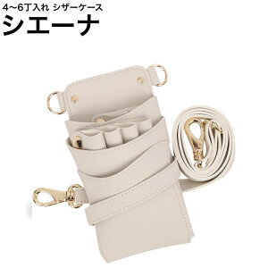 VU[P[X VG[i ~Ne (S[h) (͂ nT~  P[X e T X^CXg v vp)