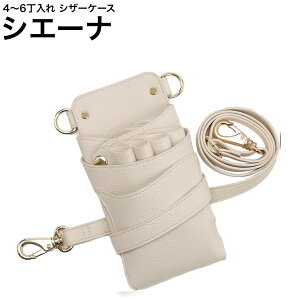 VU[P[X VG[i AC{[ (V{H S[h) (͂ nT~  P[X e T X^CXg v vp)