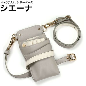 VU[P[X VG[i CgO[×AC{[ (S[h) (͂ nT~  P[X e T X^CXg v vp)