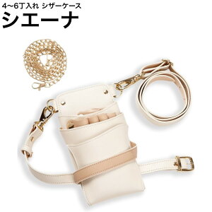 VU[P[X VG[i AC{[×sNx[W (S[h) (͂ nT~  P[X e T X^CXg v vp)