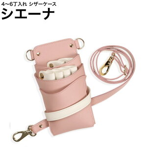 VU[P[X VG[i sN×AC{[ (S[h) (͂ nT~  P[X e T X^CXg v vp)