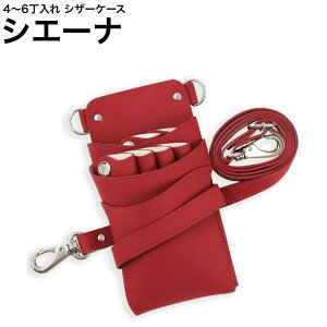 VU[P[X VG[i `F[bh (Vo[) (͂ nT~  P[X e T X^CXg v vp)