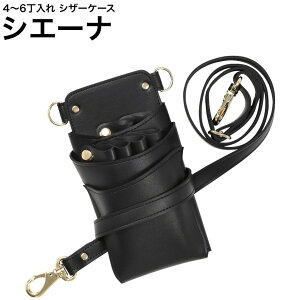 VU[P[X VG[i ubN (S[h) (͂ nT~  P[X e T X^CXg v vp)