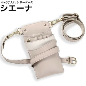 VU[P[X VG[i O[W×CgO[W (S[h) (͂ nT~  P[X e T X^CXg v vp)