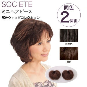  \VG ~jwAs[X (F2g) TSS-10 (wAs[X s[X  l ނ)