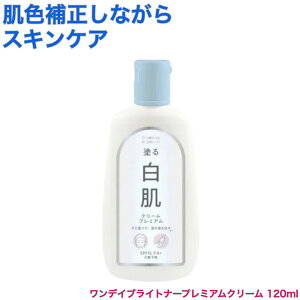 fCuCgi[  N[ v~A 120ml (Ă~ SPF15 PA+g[Abv ωn  V~  t  ێ)