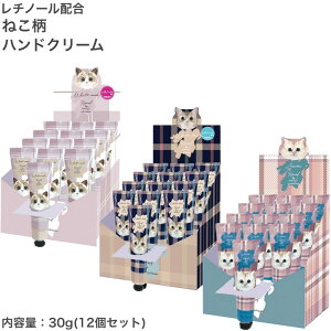 12Zbg ˂nhN[ e30g x 12 `m[zizCgXNAzCgeB[AV{j