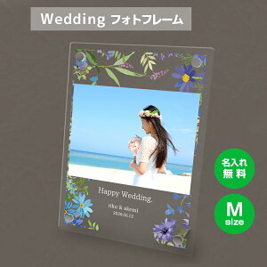 yꖳz tHgt[ M uC_ EFfBO j 킢 cu u t[ ʐ^ ʐ^ ʐ^  O   A 