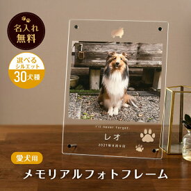 【名入れ無料】 フォトフレーム 位牌 名入れ ペット ペット位牌 仏具 仏壇 名入れギフト 写真立て アクリル 写真入れ 名前入り フォト スタンド 卓上 透明 クリア 縁なし スクエア 縦長 写真入り 犬 猫 ギフト かわいい プレゼント ラッピング 贈答品