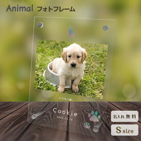 【名入れ無料】送料無料 フォトフレーム ペット 犬 いぬ イヌ ゴールデンレトリバー ペットグッズ 写真立て 写真入れ 写真たて 名入れ 名前入り 文字入れ 仏具 動物 フォトスタンド ペット用品 アクリル ギフト メモリアル フォト フレーム ペットメモリアル 記念品