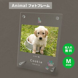 【名入れ無料】送料無料 フォトフレーム M ペット 犬 いぬ イヌ ゴールデンレトリバー ペットグッズ 写真立て 写真入れ 写真たて 名入れ 名前入り 文字入れ 仏具 動物 フォトスタンド ペット用品 アクリル ギフト メモリアル フォト フレーム ペットメモリアル 記念品