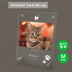 yꖳz tHgt[ M ybg L ˂ lR ybgObY ʐ^ ʐ^ ʐ^  O    tHgX^h ybgpi AN Mtg 