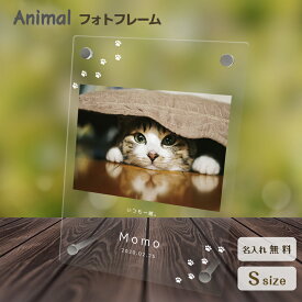 送料無料 フォトフレーム ペット 猫 ねこ ネコ ペットグッズ 写真立て 写真入れ 写真たて 名入れ 名前入り 文字入れ 仏具 動物 フォトスタンド ペット用品 アクリル ギフト メモリアル フォト フレーム