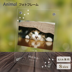 yꖳz tHgt[ ybg L ˂ lR ybgObY ʐ^ ʐ^ ʐ^  O    tHgX^h ybgpi AN Mtg 